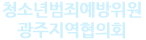청소년범죄예방위원 광주지역협의회